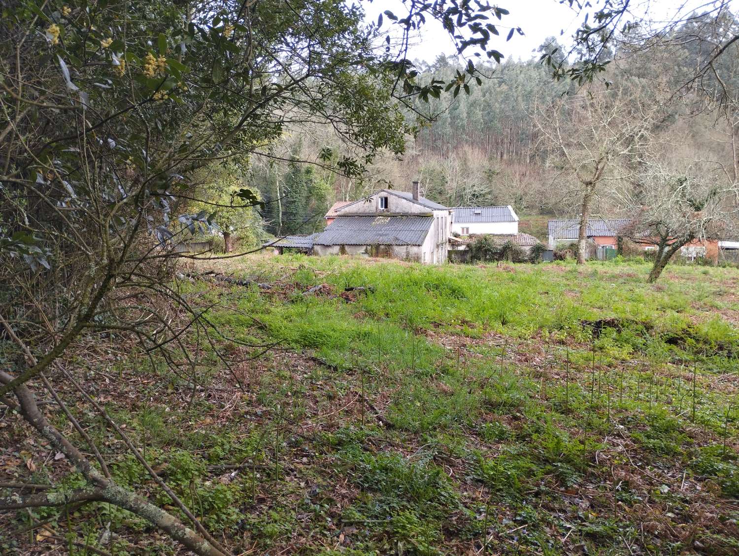 Hus till salu i Cabanas