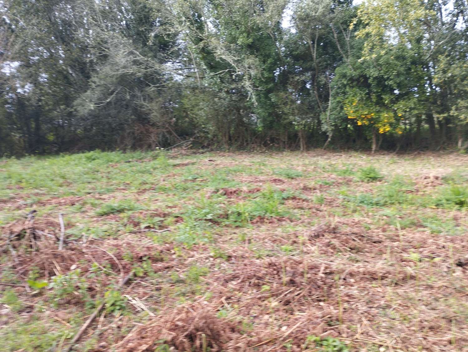 Hus till salu i Cabanas