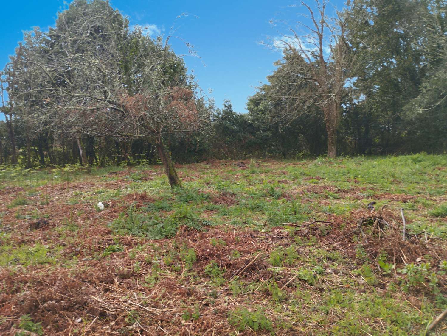 Hus till salu i Cabanas