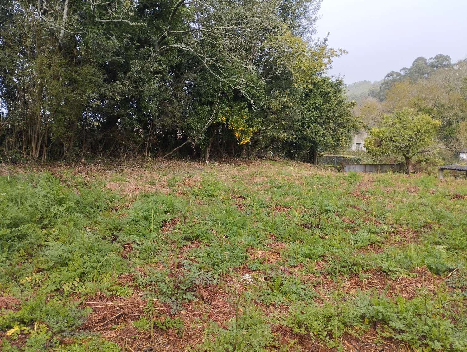 Hus till salu i Cabanas