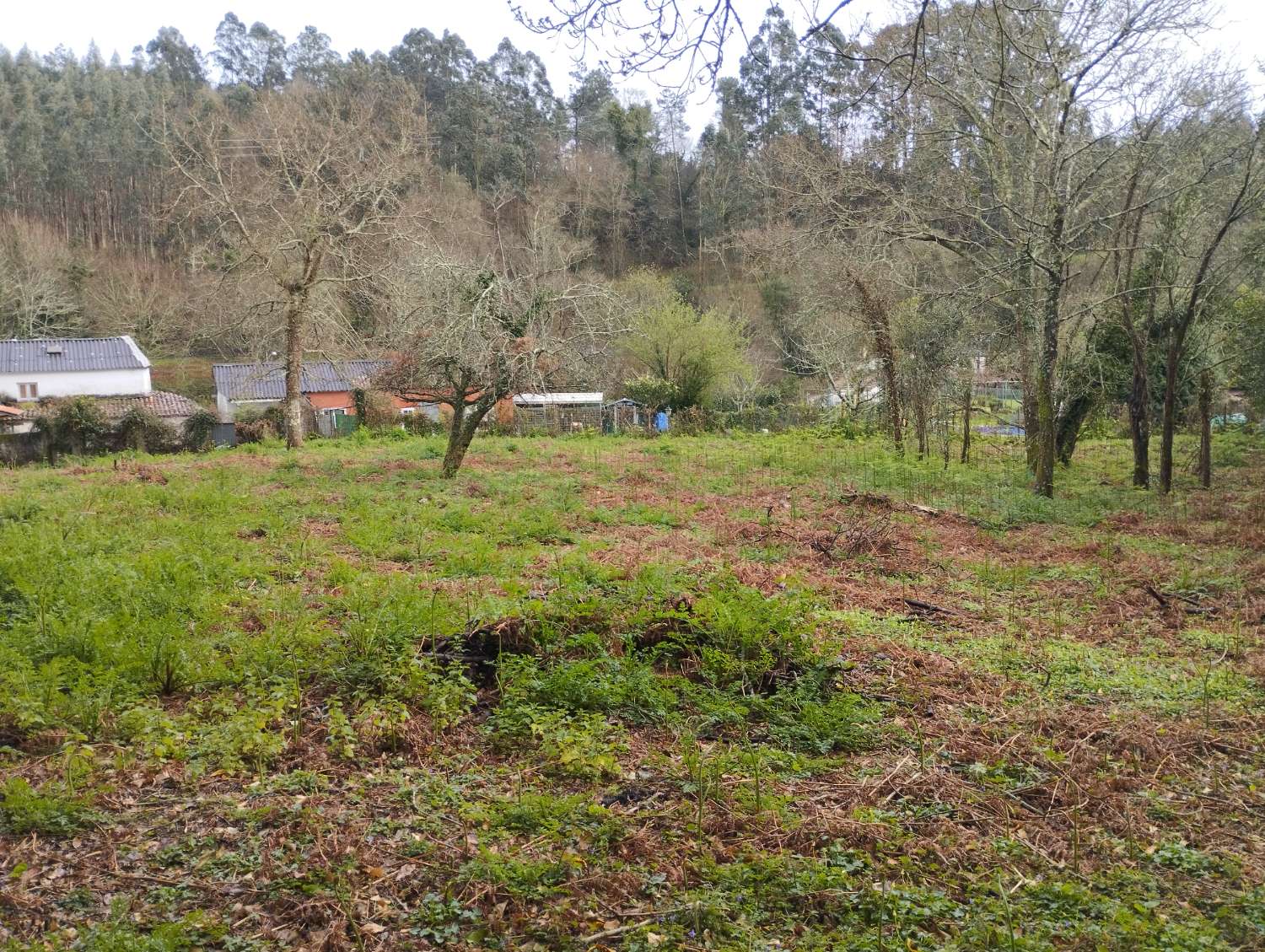 Hus till salu i Cabanas