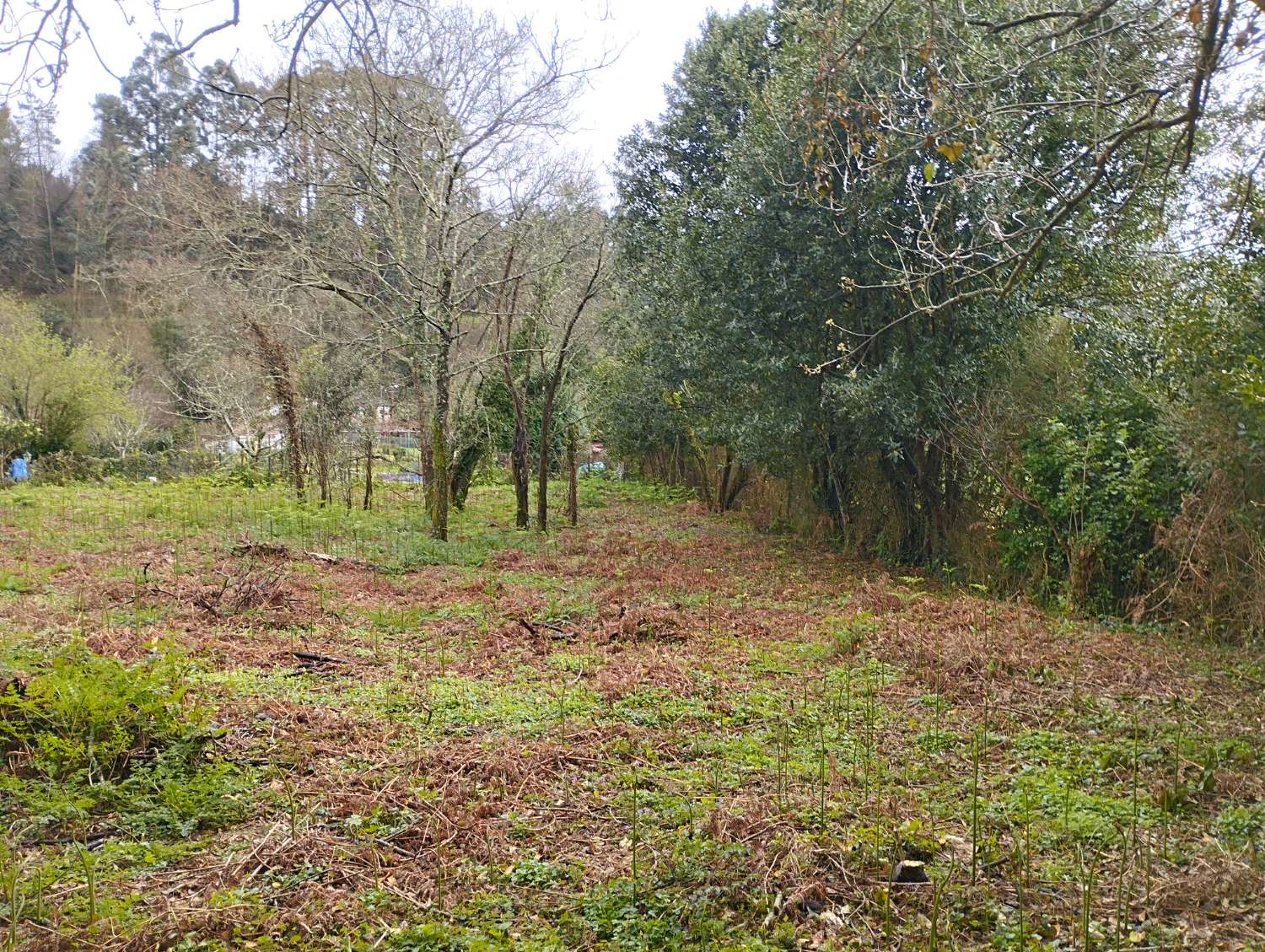 Hus till salu i Cabanas