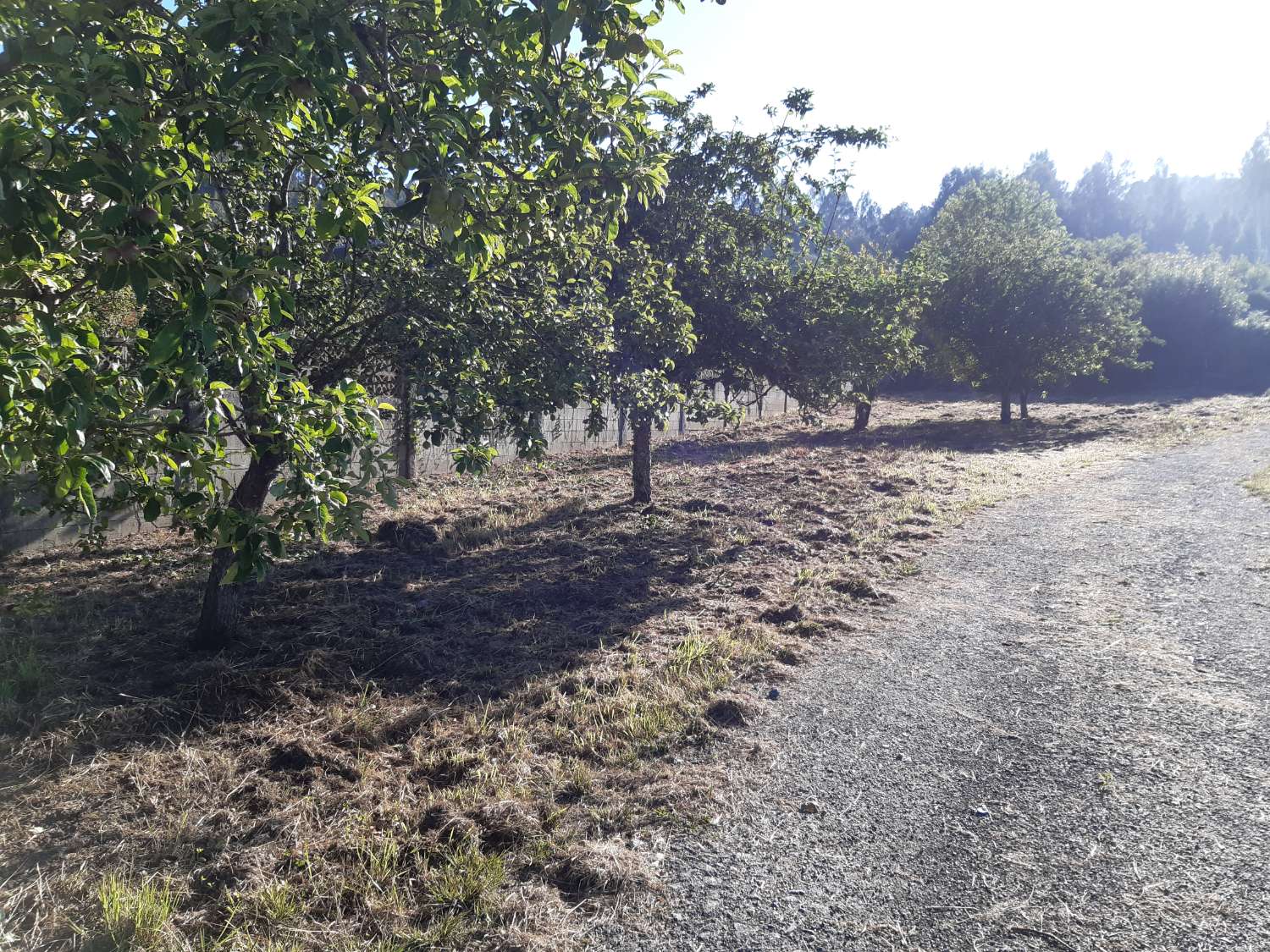 Grundstück zum verkauf in Pontedeume