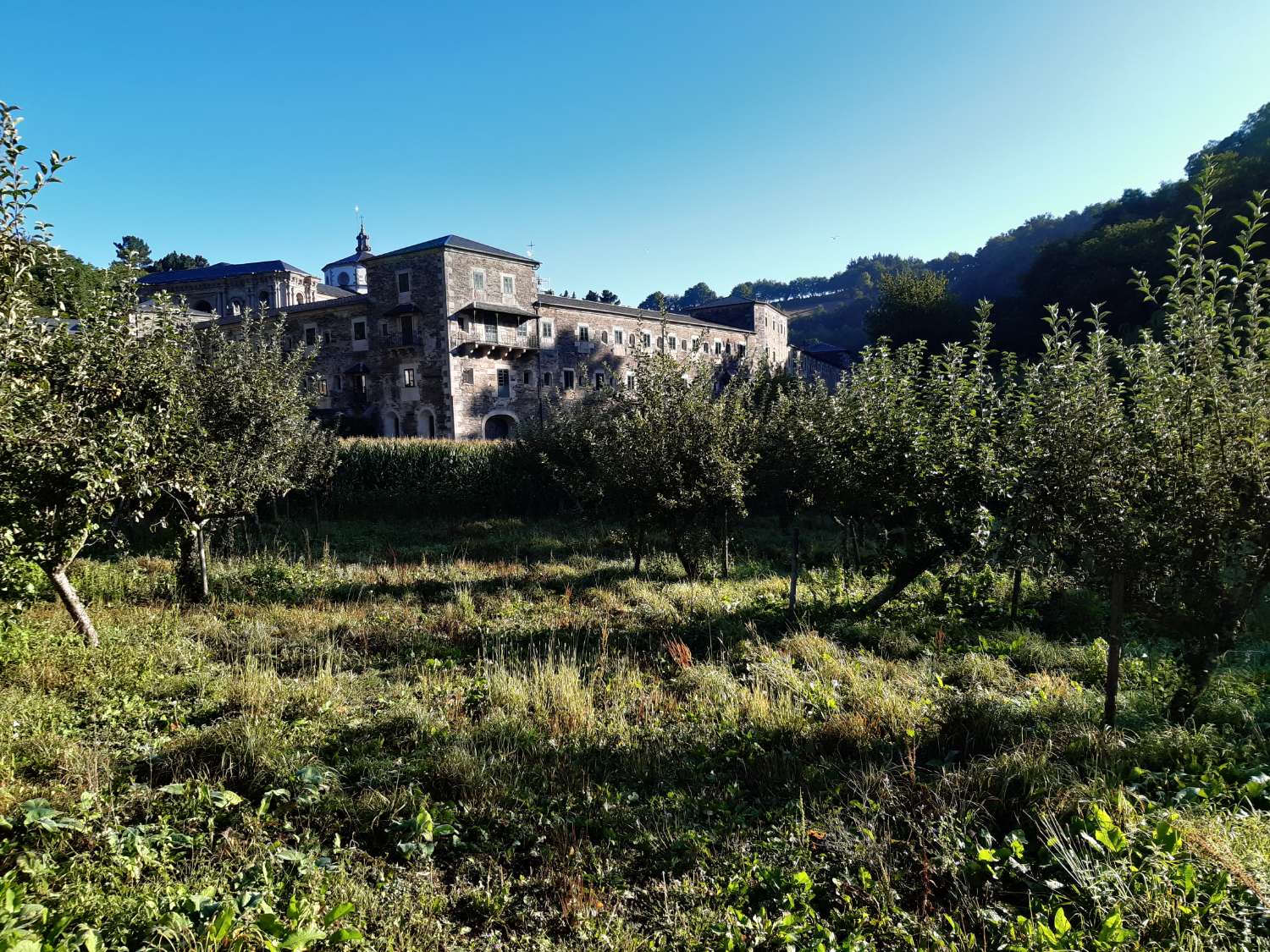 Oportunidad!! Bonita casa de piedra para rehabilitar en casco urbano de Samos